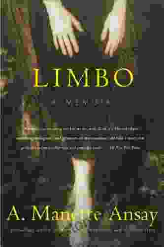 Limbo: A Memoir A Manette Ansay