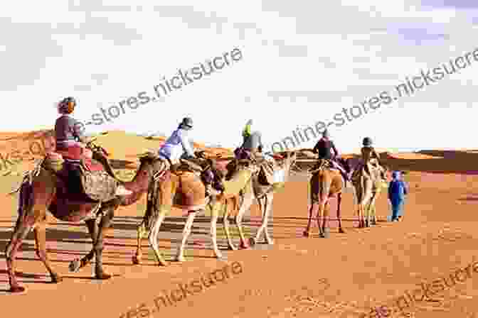 A Camel Trek Through The Vast And Enchanting Sahara Desert Memories From Morocco And Beyond