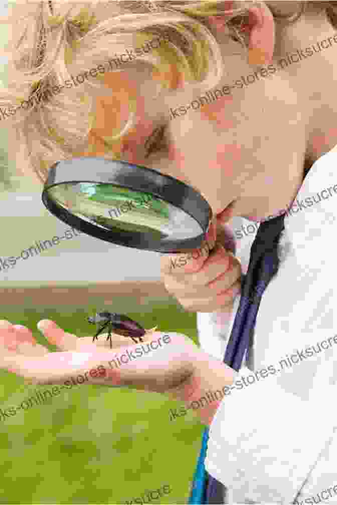 A Curious Child Peering Through A Magnifying Glass At A Bug The Alphabet Circle Journey: Living Your Best Life