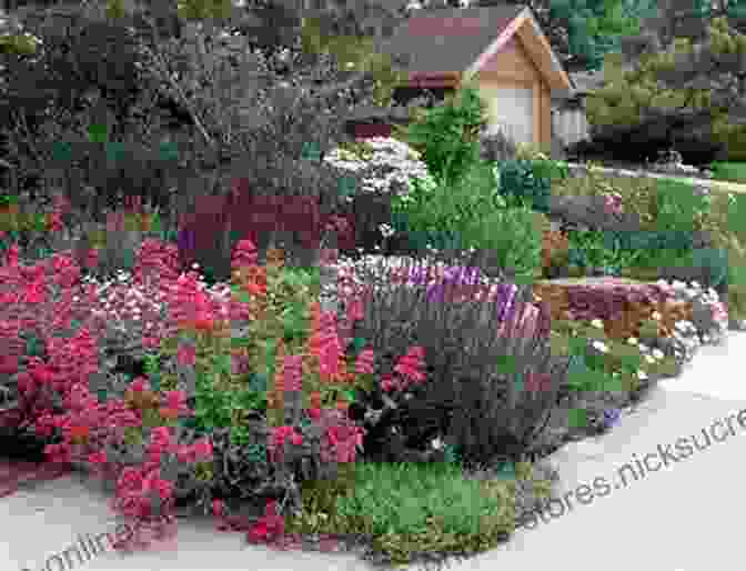 A Lush Arrangement Of Shrubs In A Beautifully Designed Xeriscaped Landscape The Bold Dry Garden: Lessons From The Ruth Bancroft Garden