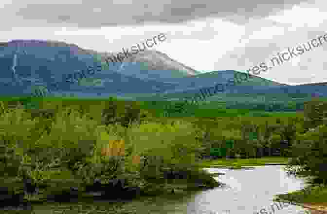 A Panoramic View Of Katahdin Woods And Waters, Showing A Vast Wilderness Of Mountains, Lakes, And Forests. Queen Bee: Roxanne Quimby Burt S Bees And Her Quest For A New National Park