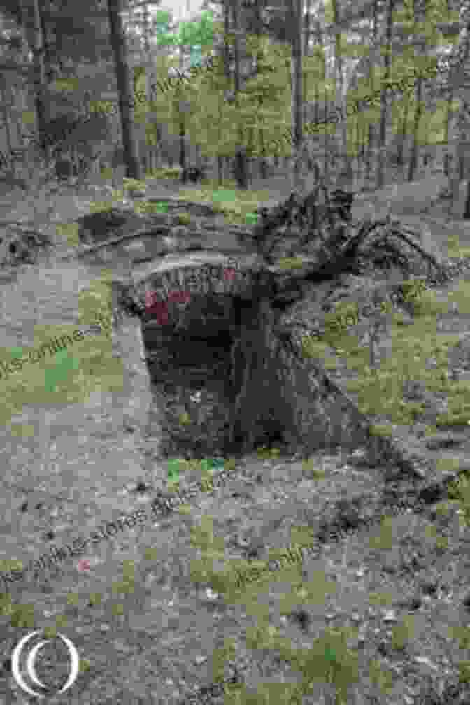 A Photograph Of The Memorial To The 'Great Escape' At The Site Of Stalag Luft III. The Great Escaper: The Life And Death Of Roger Bushell