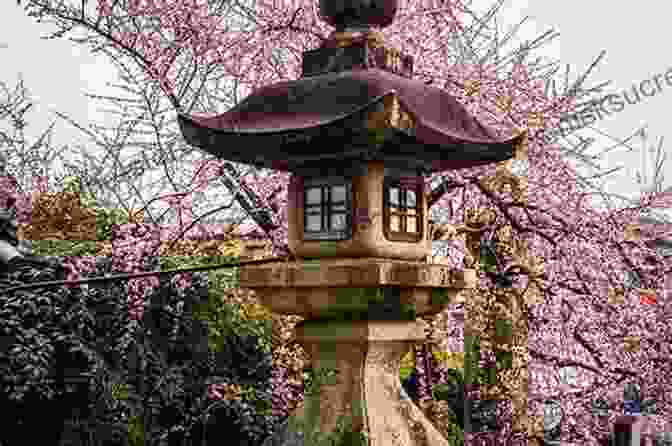 A Serene Japanese Garden With A Stone Lantern And Blooming Cherry Blossoms, Symbolizing The Concept Of Shikataganai SHIKATAGANAI: It Can T Be Helped