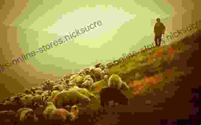 A Shepherd Stands On A Hilltop Overlooking A Vast Expanse Of Land. He Is Surrounded By His Flock Of Sheep. Heida: A Shepherd At The Edge Of The World