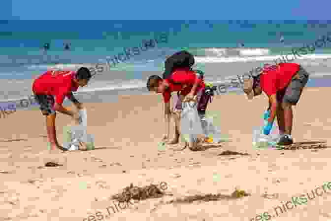 A Team Of Volunteers Cleaning A Beach, Removing Plastic Debris British Coastal Wildlife (Collins Complete Guides)