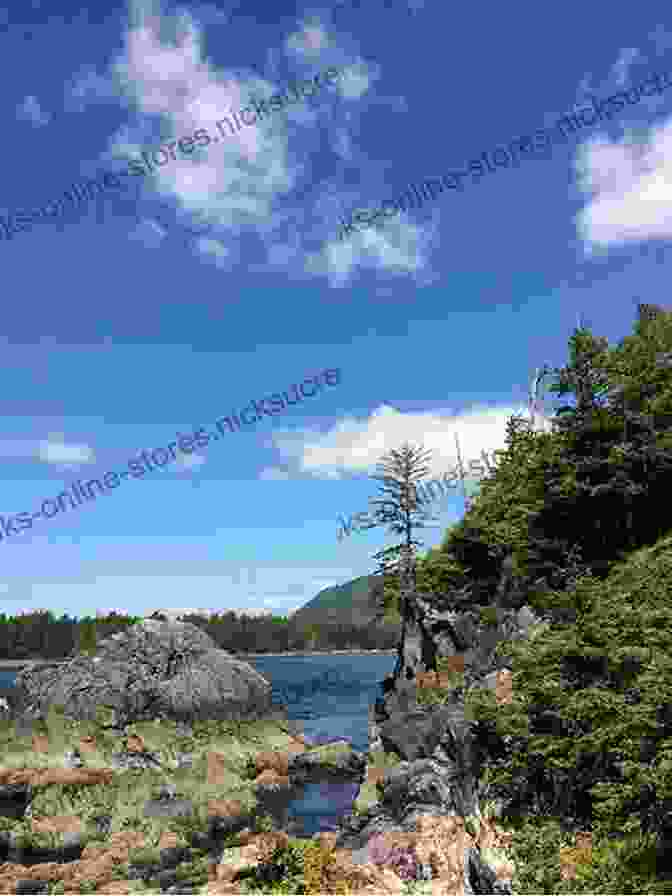 Aerial View Of Hot Springs Cove's Remote And Picturesque Setting Within Maquinna Marine Provincial Park The Hot Springs Cove Story: The Beginnings Of Maquinna Marine Provincial Park