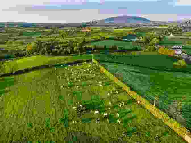 An Aerial View Of The Plucky Egg Farm, With Lush Green Pastures And Modern Hen Houses In The Foreground, And The Rolling Countryside Stretching Out Into The Distance In The Background. Locally Laid: How We Built A Plucky Industry Changing Egg Farm From Scratch