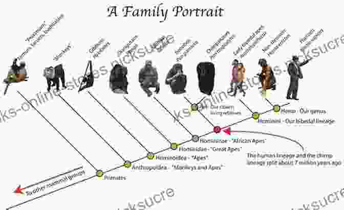 Evolutionary Progression From Ape Like Ancestors To Bipedal Humans Life On Two Legs: Discover How Queen Were Discovered And What Really Went On Behind The Studio Doors With Freddie Mercury The Beatles David Bowie Elton In This Rock N Roll Music Biopic London