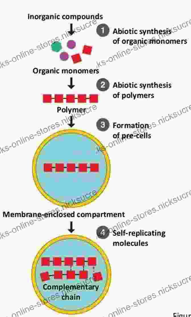 Formation Of Organic Molecules From Inorganic Matter Through Abiogenesis The Story Of A Life