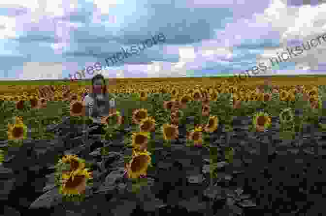 George Cohon Standing In A Field Of Sunflowers In Russia To Russia With Fries George Cohon