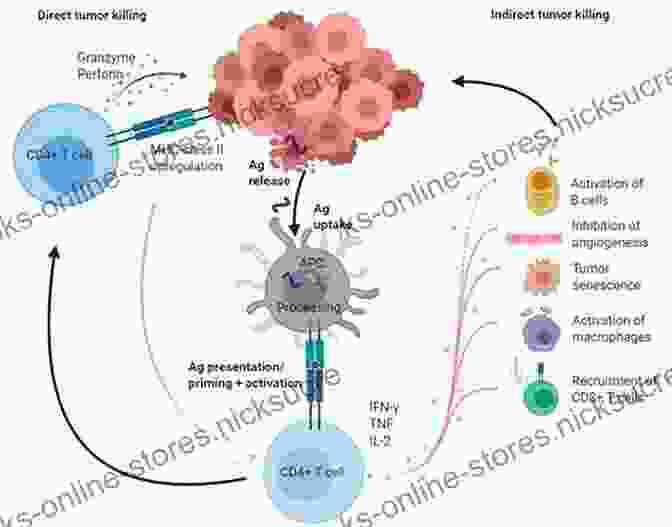 Immunotherapy Helps The Patient's Immune System Recognize And Attack Cancer Cells Who Says There Is No Treatment For Pancreatic Cancer?: Navigating The Maze Japan And Back