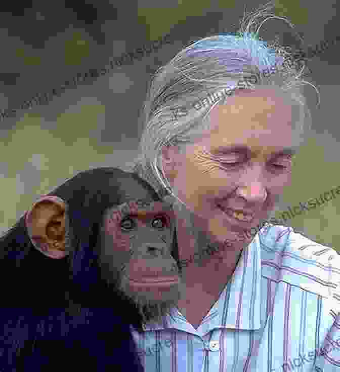 Jane Goodall, A Renowned Conservationist Known For Her Work With Chimpanzees. Bios: Stories And Teachings From A Grassroots Conservationist