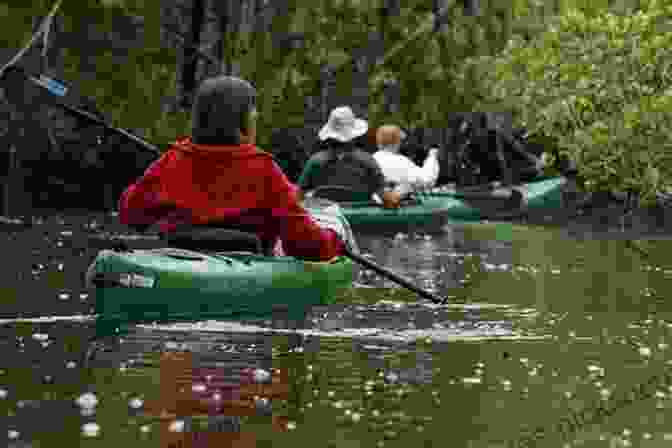 Kayakers Exploring The Pristine Waters Of Hot Springs Cove, Surrounded By Towering Cliffs And Lush Vegetation The Hot Springs Cove Story: The Beginnings Of Maquinna Marine Provincial Park