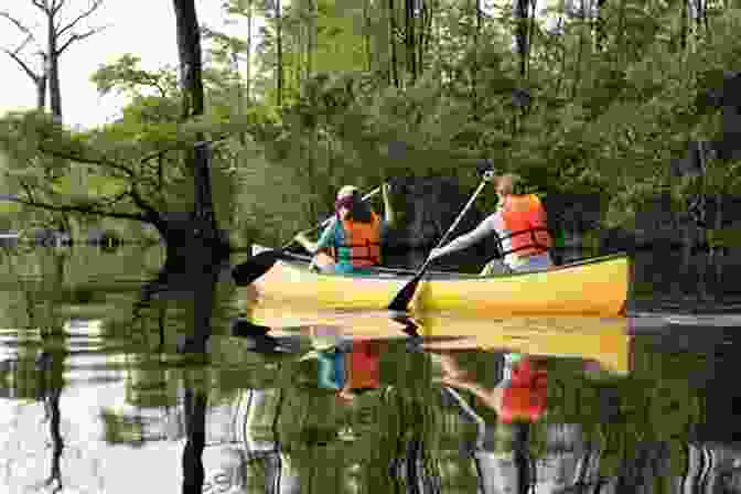 Kayakers Paddling Through The Calm Waters Of Jervis Inlet, Surrounded By Towering Cliffs And Lush Forests. The Royal Fjord: Memories Of Jervis Inlet