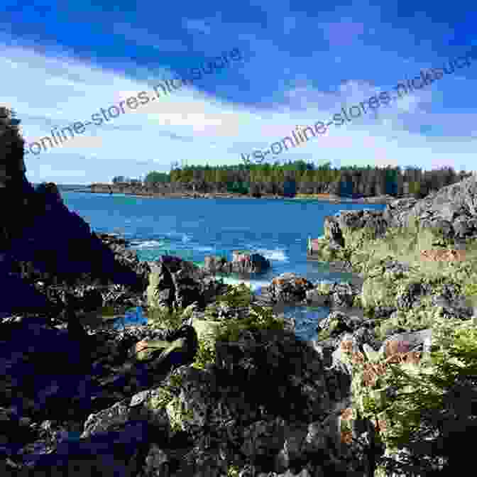 Panoramic View Of Hot Springs Cove At Sunset, Showcasing Its Picturesque Coastline, Towering Mountains, And Tranquil Atmosphere The Hot Springs Cove Story: The Beginnings Of Maquinna Marine Provincial Park