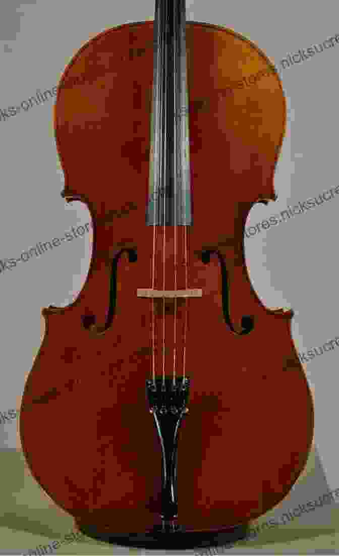 The Davidoff Stradivarius Cello Stradivari S Genius: Five Violins One Cello And Three Centuries Of Enduring Perfection