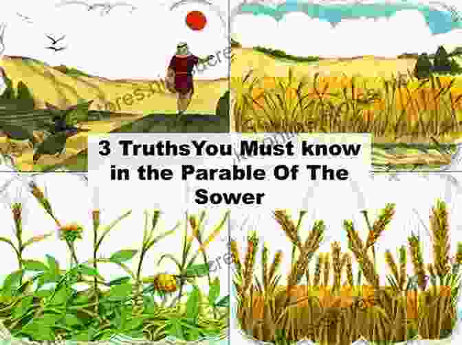 The Parable Of The Sower Illustrates The Influence Of External Factors On Economic Growth. The Economics Of The Parables